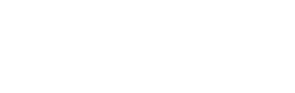 The Digital Economist
